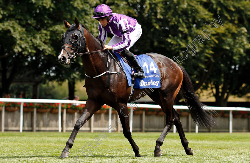 U-S-Navy-Flag-0001 
 U S NAVY FLAG (Ryan Moore) before winning The Darley July Cup
Newmarket 14 Jul 2018 - Pic Steven Cargill / Racingfotos.com