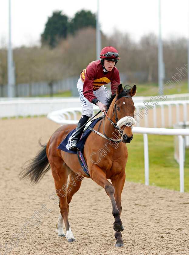 Murbih-0002 
 MURBIH (Cam Hardie)
Wolverhampton 12 Mar 2022 - Pic Steven Cargill / Racingfotos.com