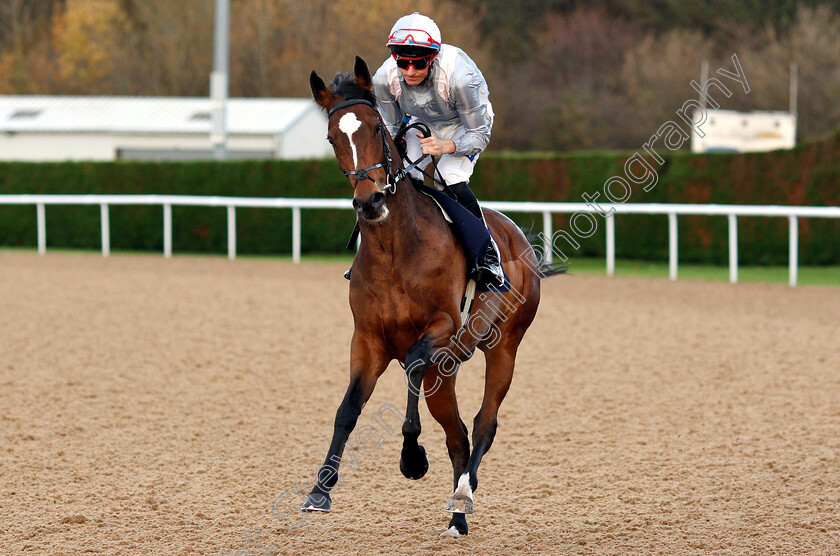 Say-Nothing-0001 
 SAY NOTHING (Fran Berry)
Wolverhampton 28 Nov 2018 - Pic Steven Cargill / Racingfotos.com