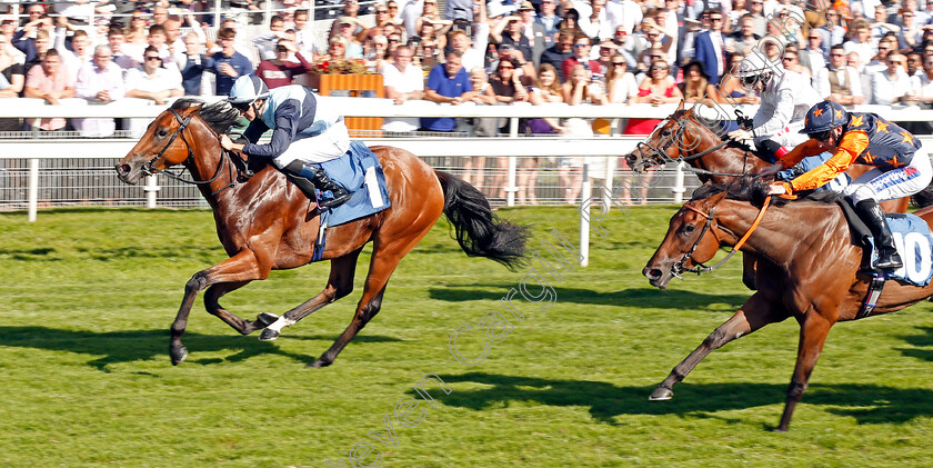 Alligator-Alley-0004 
 ALLIGATOR ALLEY (Donnacha O'Brien) wins The Julia Graves Roses Stakes
York 24 Aug 2019 - Pic Steven Cargill / Racingfotos.com