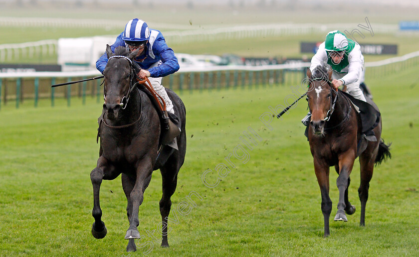 Mutasaabeq-0003 
 MUTASAABEQ (Dane O'Neill) wins The Download The Mansionbet App Novice Stakes
Newmarket 21 Oct 2020 - Pic Steven Cargill / Racingfotos.com