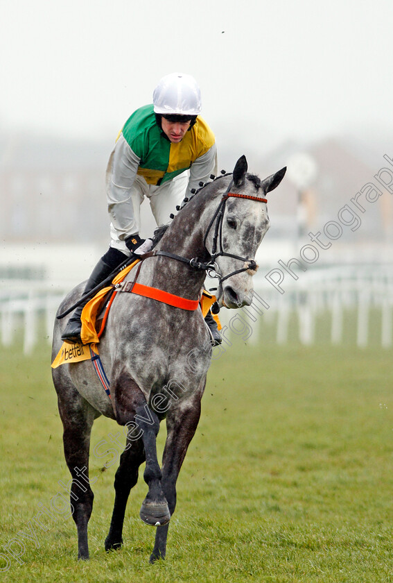 Cloudy-Dream-0001 
 CLOUDY DREAM (Brian Hughes) Newbury 10 Feb 2018 - Pic Steven Cargill / Racingfotos.com