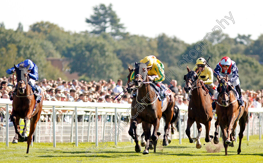 Mustajeer-0005 
 MUSTAJEER (centre, Colin Keane) beats RED GALILEO (left) in The Sky Bet Ebor
York 24 Aug 2019 - Pic Steven Cargill / Racingfotos.com