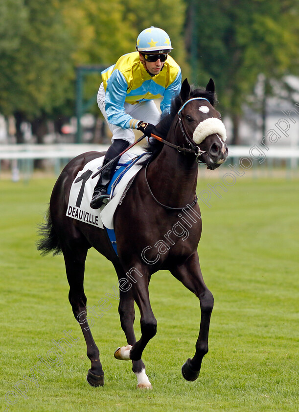 Eagle-Gate-0001 
 EAGLE GATE (Cristian Demuro)
Deauville 3 Aug 2024 - Pic Steven Cargill / Racingfotos.com