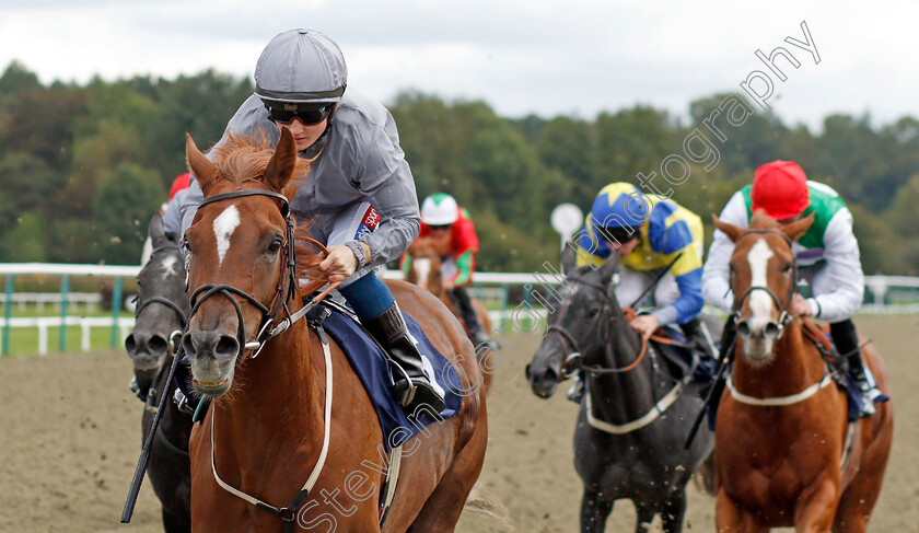 Rapture-0004 
 RAPTURE (Hollie Doyle) wins The Download The Star Sports App Now! Fillies Handicap
Lingfield 3 Oct 2019 - Pic Steven Cargill / Racingfotos.com