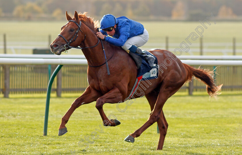 Castle-Way-0003 
 CASTLE WAY (William Buick) wins The British EBF Future Stayers Nursery
Newmarket 19 Oct 2022 - Pic Steven Cargill / Racingfotos.com