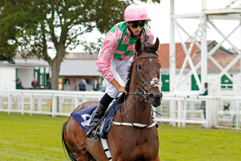 Courtesy-0002 
 COURTESY (George Wood)
Yarmouth 22 Jul 2020 - Pic Steven Cargill / Racingfotos.com