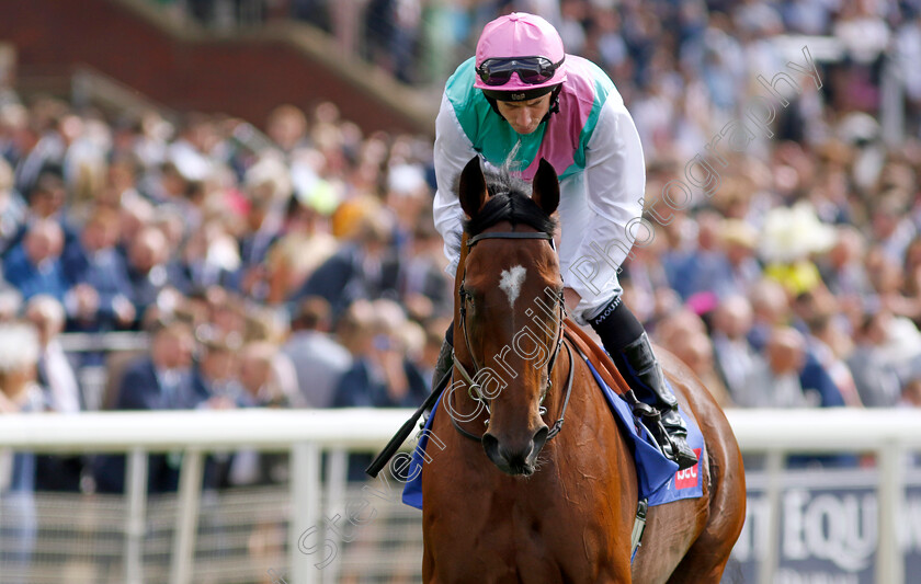 Nostrum-0003 
 NOSTRUM (Ryan Moore)
York 26 Aug 2023 - Pic Steven Cargill / Racingfotos.com