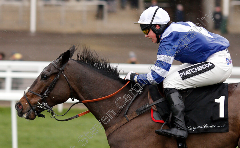 Frodon-0009 
 FRODON (Bryony Frost) wins The Caspian Caviar Gold Cup Handicap Chase
Cheltenham 15 Dec 2018 - Pic Steven Cargill / Racingfotos.com