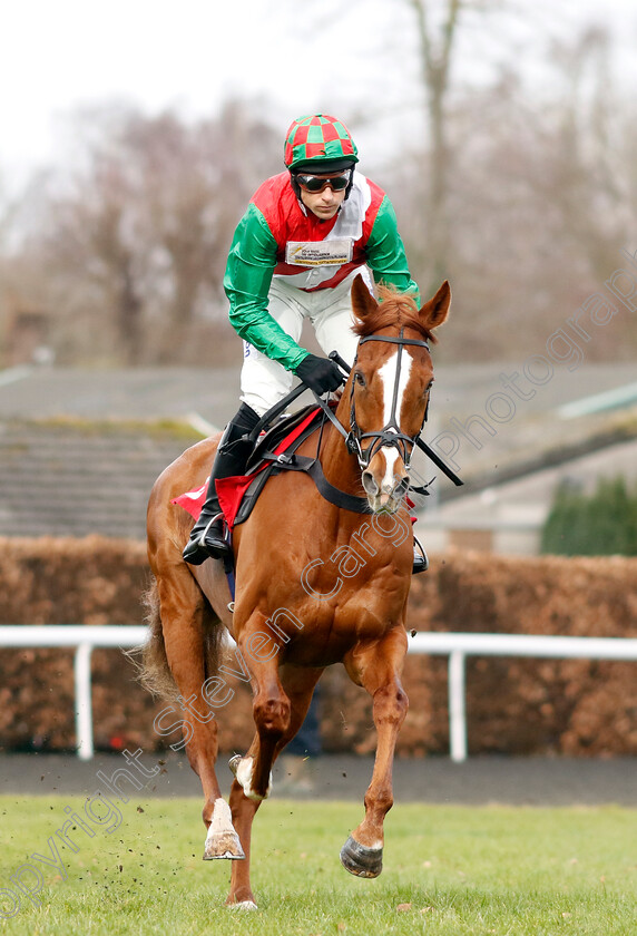 Doyen-Quest-0001 
 DOYEN QUEST (Harry Skelton)
Kempton 22 Feb 2025 - Pic Steven Cargill / Racingfotos.com