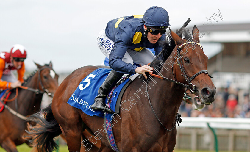 Muffri Ha-0006 
 MUFFRI'HA (Pat Cosgrave) wins The Muhaarar British EBF Rosemary Stakes Newmarket 29 Sep 2017 - Pic Steven Cargill / Racingfotos.com