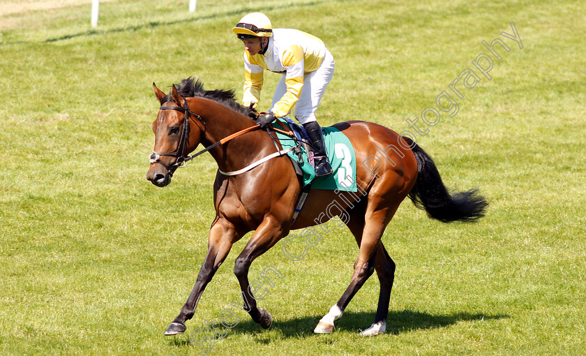 Suitcase- n -Taxi-0001 
 SUITCASE 'N' TAXI (David Allan) before winning The John Hopkinson Memorial Handicap
Thirsk 4 Jul 2018 - Pic Steven Cargill / Racingfotos.com