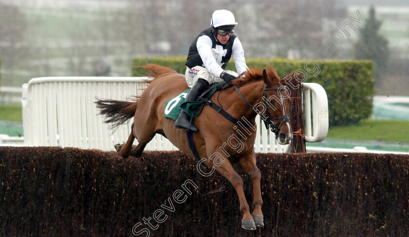 Yorkist-0002 
 YORKIST (Harry Skelton)
Cheltenham 15 Dec 2018 - Pic Steven Cargill / Racingfotos.com