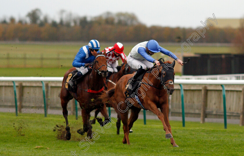 Chance-0003 
 CHANCE (James Doyle) wins The Download The Mansionbet App Handicap
Newmarket 30 Oct 2020 - Pic Steven Cargill / Racingfotos.com