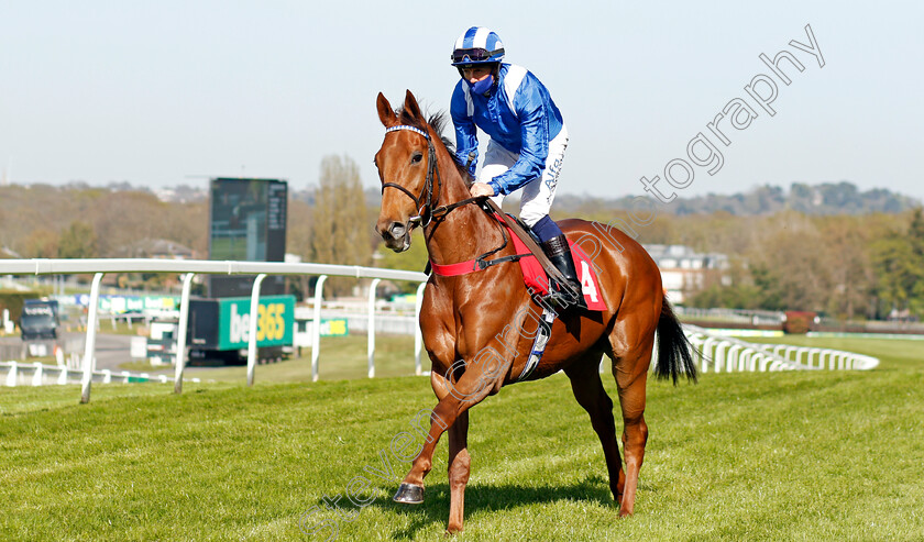 Haizoom-0001 
 HAIZOOM (Jim Crowley)
Sandown 23 Apr 2021 - Pic Steven Cargill / Racingfotos.com