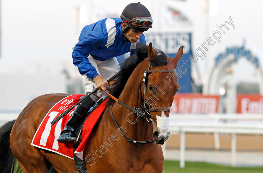 Eqtiraan-0001 
 EQTIRAAN (Dane O'Neill)
Meydan 7 Mar 2020 - Pic Steven Cargill / Racingfotos.com