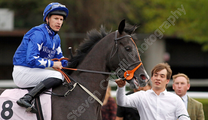 Beshert-0001 
 BESHERT (Richard Kingscote)
Kempton 28 Aug 2024 - Pic Steven Cargill / Racingfotos.com