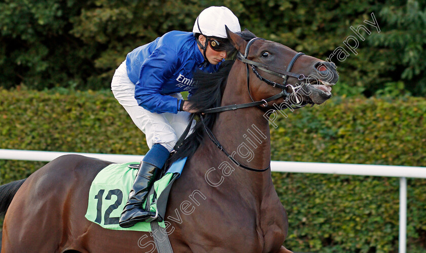 Ya-Hayati-0001 
 YA HAYATI (William Buick)
Kempton 2 Oct 2019 - Pic Steven Cargill / Racingfotos.com