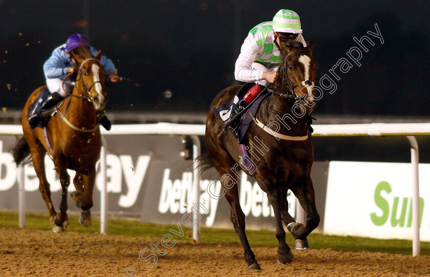 Martineo-0003 
 MARTINEO (Adam Kirby) wins The Like Sun Racing On Facebook Handicap
Wolverhampton 26 Feb 2019 - Pic Steven Cargill / Racingfotos.com