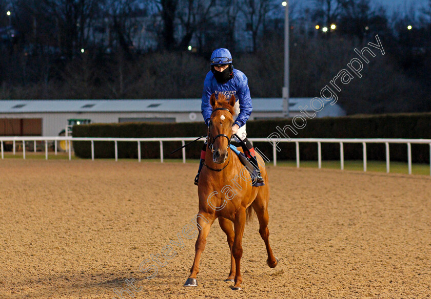 Echo-Point-0001 
 ECHO POINT (Christian Howarth)
Wolverhampton 12 Mar 2021 - Pic Steven Cargill / Racingfotos.com