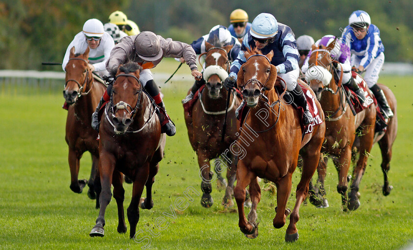 A-Case-Of-You-0006 
 A CASE OF YOU (left, Ronan Whelan) beats AIR DE VALSE (right) in The Prix de L'Abbaye de Longchamp
Longchamp 3 Oct 2021 - Pic Steven Cargill / Racingfotos.com