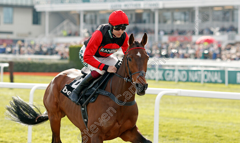 Sam-Brown-0003 
 SAM BROWN (Aidan Coleman) winner of The Betway Handicap Chase
Aintree 9 Apr 2022 - Pic Steven Cargill / Racingfotos.com