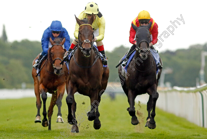 Without-A-Fight-0006 
 WITHOUT A FIGHT (Andrea Atzeni) wins The Sky Bet Grand Cup
York 11 Jun 2022 - Pic Steven Cargill / Racingfotos.com