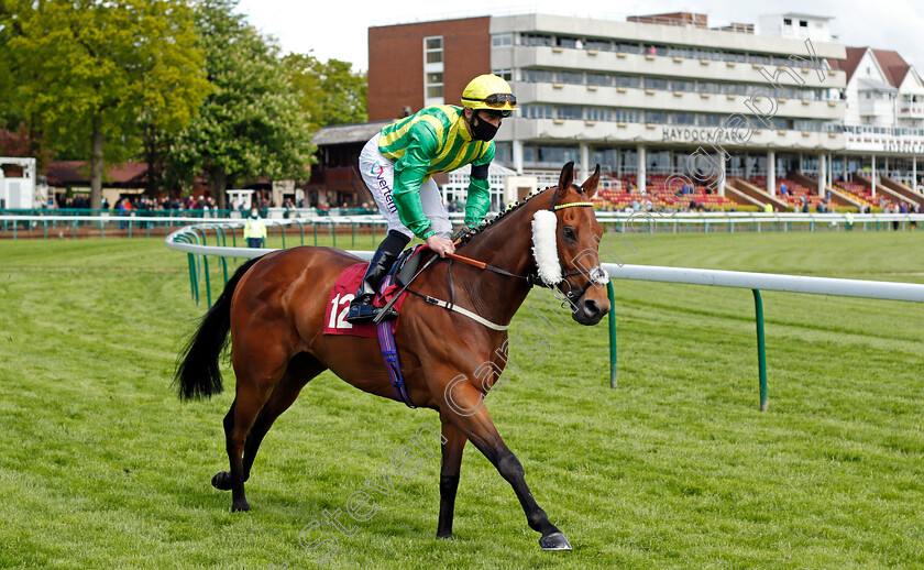 Lord-Oberon-0001 
 LORD OBERON (Clifford Lee)
Haydock 22 May 2021 - Pic Steven Cargill / Racingfotos.com