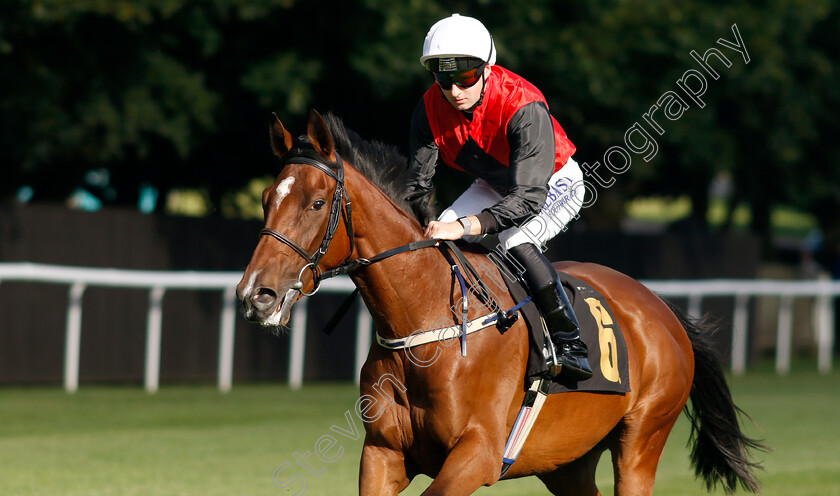 Take-The-Boat-0001 
 TAKE THE BOAT (Adam Farragher)
Newmarket 9 Aug 2024 - Pic Steven Cargill / Racingfotos.com