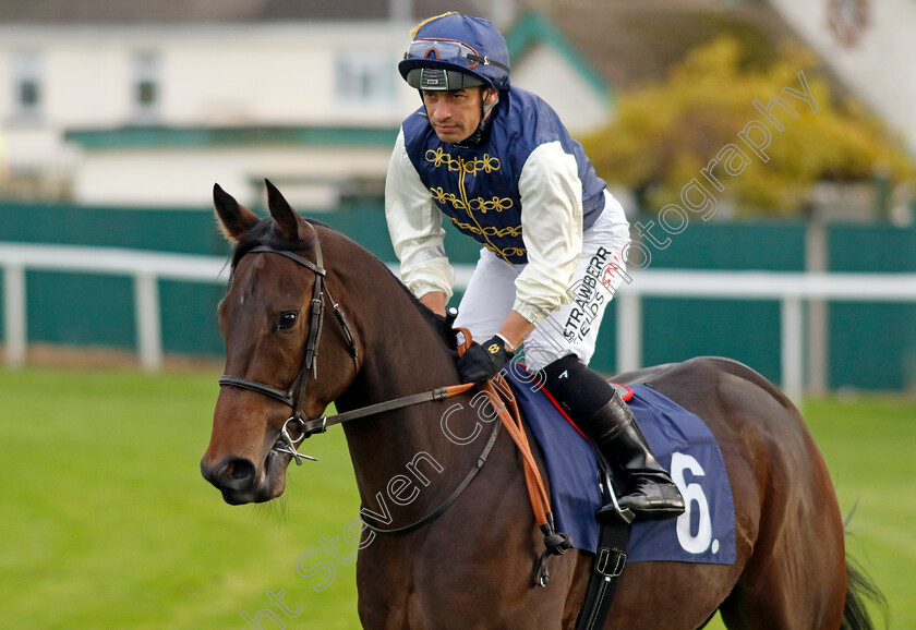 Flavour-Maker-0002 
 FLAVOUR MAKER (Silvestre de Sousa)
Yarmouth 22 Oct 2024 - Pic Steven Cargill / Racingfotos.com