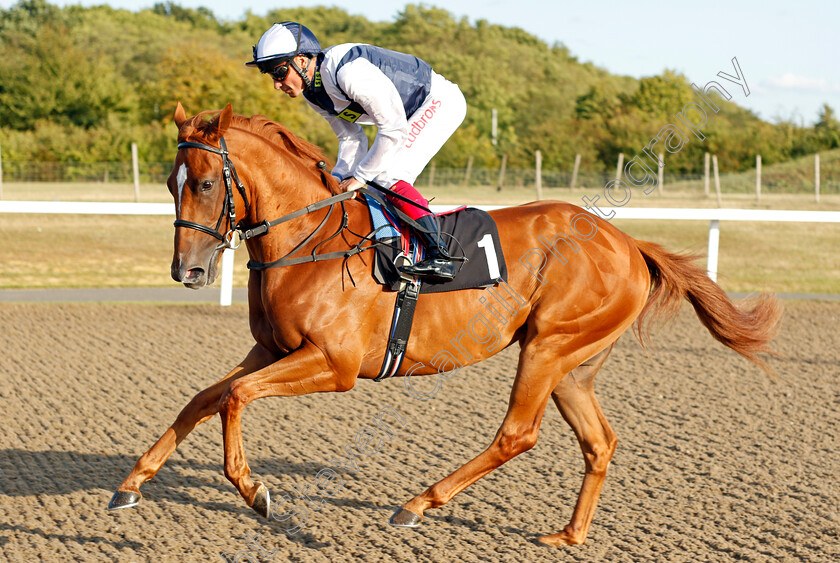 Cobber-Kain-0001 
 COBBER KAIN (Frankie Dettori) winner of The Bet At totesport.com Median Auction Maiden Stakes
Chelmsford 4 Sep 2019 - Pic Steven Cargill / Racingfotos.com