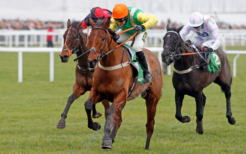 Midnight-Shadow-0002 
 MIDNIGHT SHADOW (Danny Cook) wins The Paddy Power Broken Resolutions Already Dipper Novices Chase
Cheltenham 1 Jan 2020 - Pic Steven Cargill / Racingfotos.com