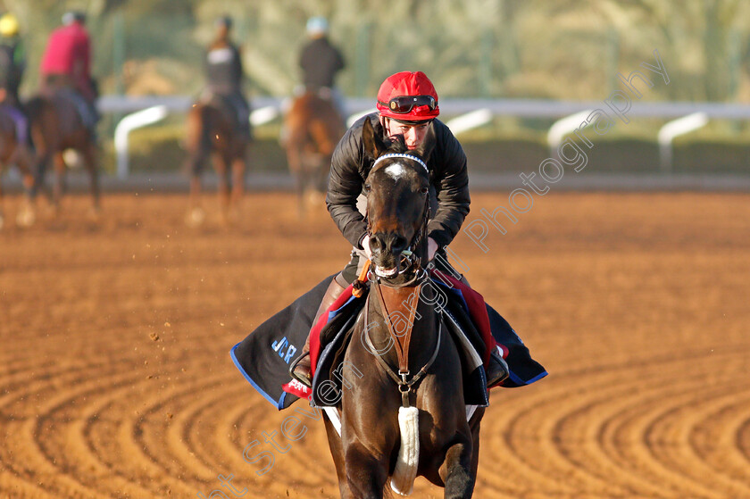 Glycon-0001 
 GLYCON training for The Turf Handicap
King Abdulaziz Racetrack, Riyadh, Saudi Arabia 22 Feb 2022 - Pic Steven Cargill / Racingfotos.com