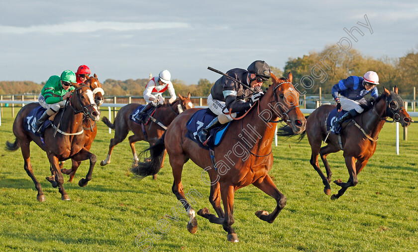 Manucci-0003 
 MANUCCI (Martin Dwyer) beats BEER WITH THE BOYS (right) in The Starsportsbet.co.uk Handicap
Bath 16 Oct 2019 - Pic Steven Cargill / Racingfotos.com