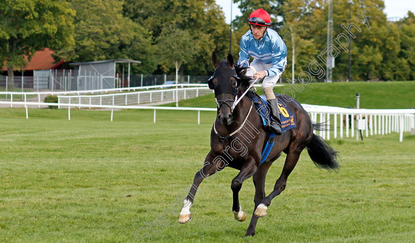 Auenfurst-0001 
 AUENFURST (Jacob Johansen)
Bro Park 18 Sep 2022 - Pic Steven Cargill / Racingfotos.com