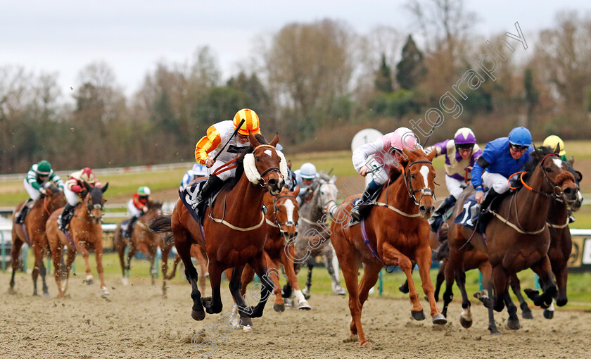 The-Conqueror-0004 
 THE CONQUEROR (left, Ethan Jones) beats FRAVANCO (centre) in The Boost Your Acca-Fenwa With BetUk Handicap
Lingfield 23 Dec 2023 - Pic Steven Cargill / Racingfotos.com