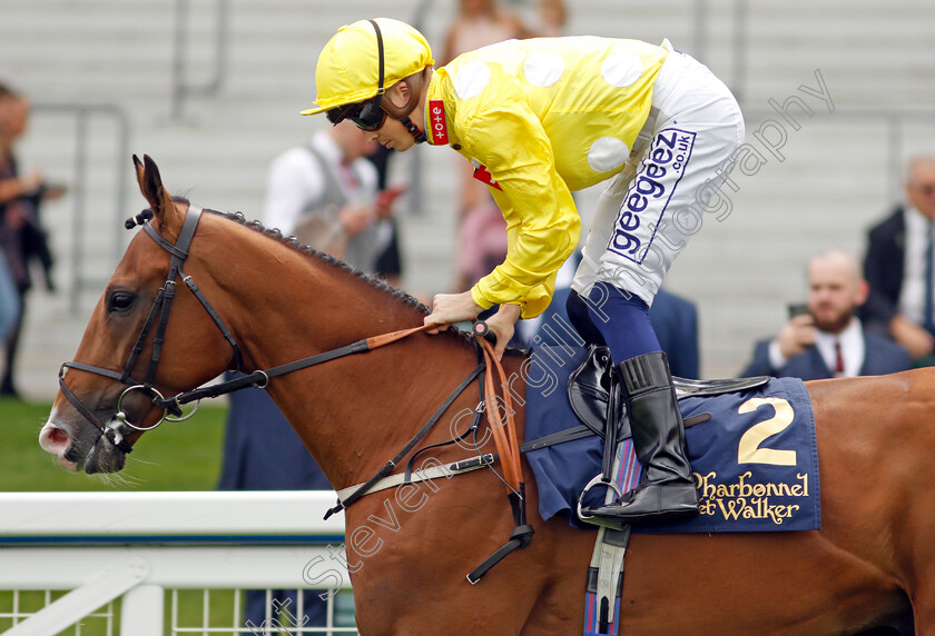 Koy-Koy-0001 
 KOY KOY (David Probert)
Ascot 3 Sep 2021 - Pic Steven Cargill / Racingfotos.com