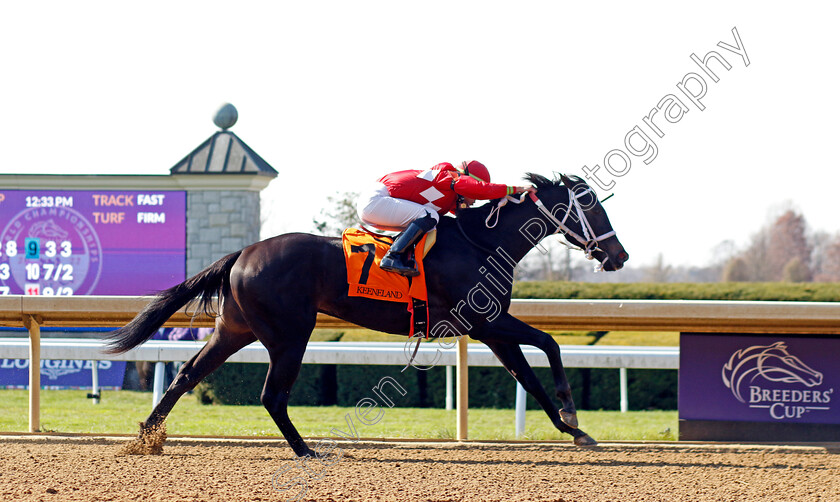 Black-Forest-0001 
 BLACK FOREST (Irad Ortiz) wins Headley Julep Cup Maiden
Breeders Cup Meeting, Keeneland USA, 4 Nov 2022 - Pic Steven Cargill / Racingfotos.com