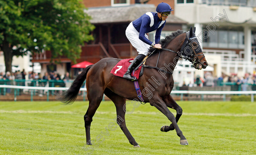 Tollard-Royal 
 TOLLARD ROYAL (James Doyle)
Haydock 21 May 2022 - Pic Steven Cargill / Racingfotos.com