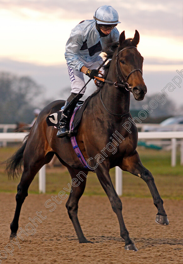 Primo-Bacio-0001 
 PRIMO BACIO (Tom Marquand)
Chelmsford 26 Nov 2020 - Pic Steven Cargill / Racingfotos.com