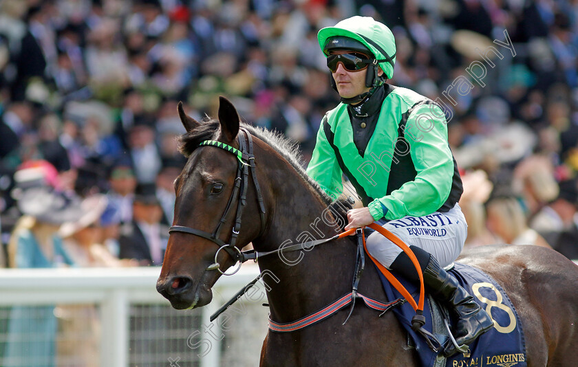 Lady-Tilbury 
 LADY TILBURY (G F Carroll)
Royal Ascot 15 Jun 2022 - Pic Steven Cargill / Racingfotos.com