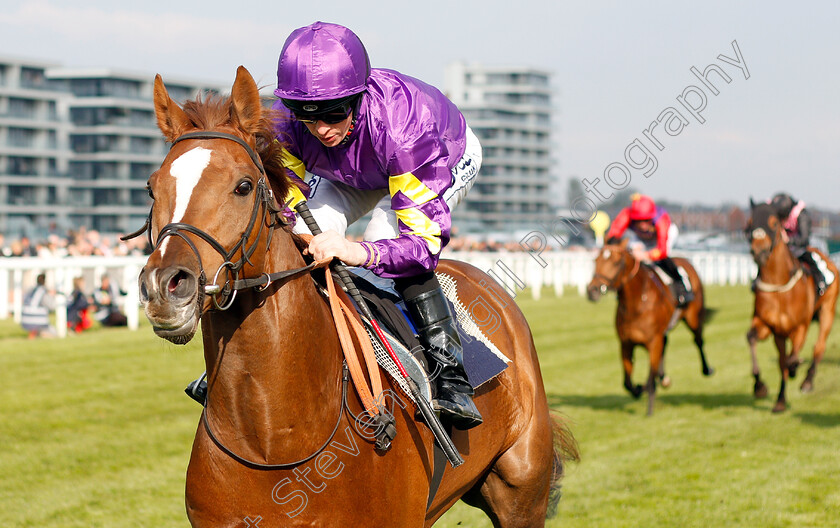 Majestic-Dawn-0003 
 MAJESTIC DAWN (David Probert) wins The Dreweatts Maiden Stakes
Newbury 13 Apr 2019 - Pic Steven Cargill / Racingfotos.com