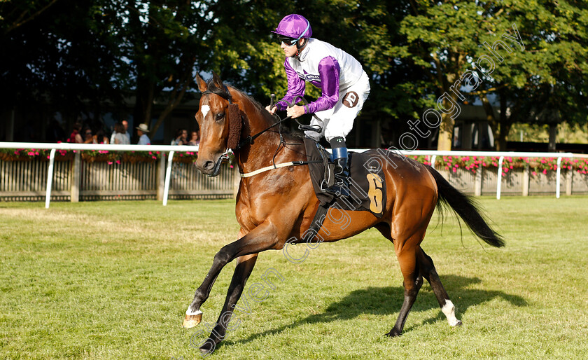 Greek-Kodiac-0001 
 GREEK KODIAC (Tom Queally)
Newmarket 28 Jun 2019 - Pic Steven Cargill / Racingfotos.com