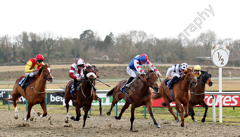 Sha-La-La-La-Lee-0002 
 SHA LA LA LA LEE (centre, Richard Kingscote) beats FAMILY FORTUNES (left) and INSURGENCE (2nd right) in The Sun Racing No1 Racing Site Handicap
Lingfield 2 Mar 2019 - Pic Steven Cargill / Racingfotos.com