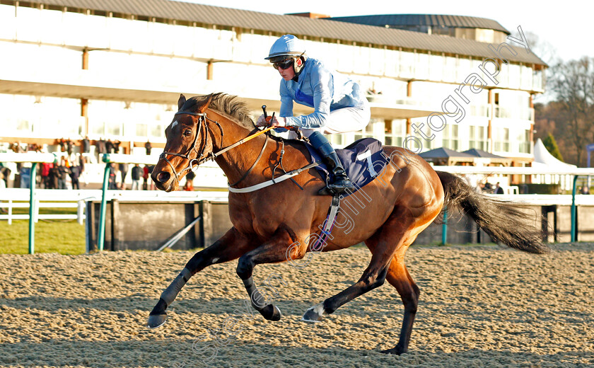 Battle-Of-Marathon-0003 
 BATTLE OF MARATHON (Darragh Keenan) wins The Betway Casino Handicap
Lingfield 4 Jan 2020 - Pic Steven Cargill / Racingfotos.com