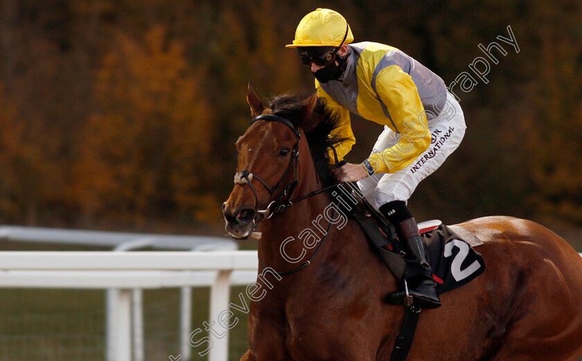 American-Entente-0001 
 AMERICAN ENTENTE (Robert Havlin) winner of The EBF Fillies Novice Stakes
Chelmsford 22 Oct 2020 - Pic Steven Cargill / Racingfotos.com