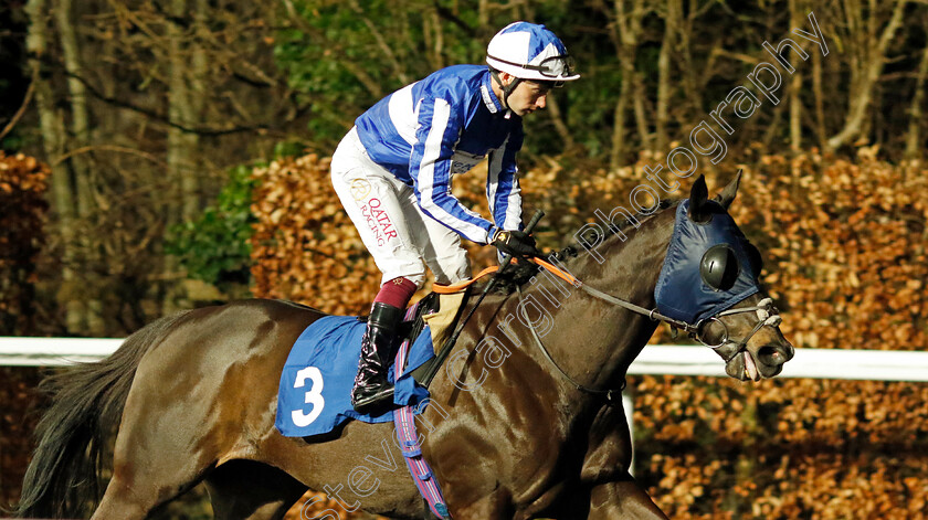 Fivethousandtoone-0005 
 FIVETHOUSANDTOONE (Oisin Murphy) winner of The Try Unibet's Improved Bet Builder Handicap
Kempton 14 Feb 2024 - Pic Steven Cargill / Racingfotos.com