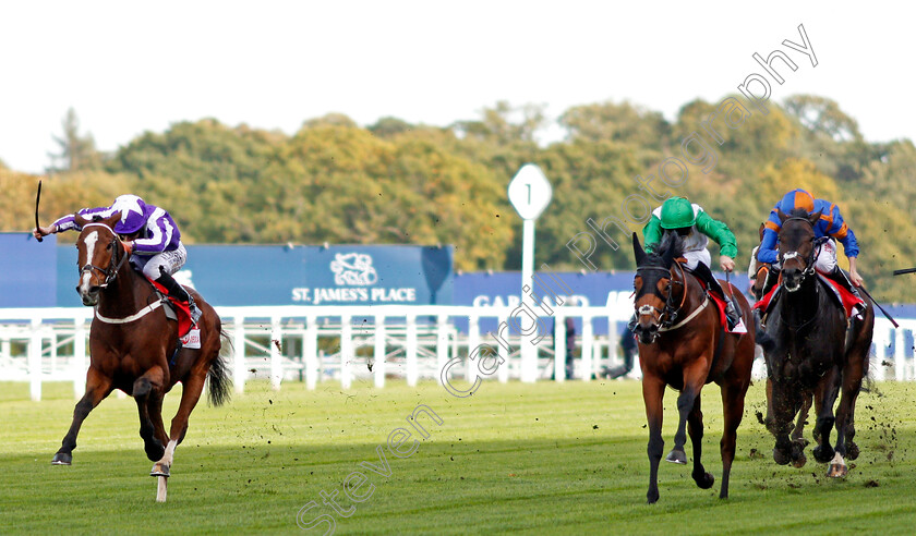 Shady-McCoy-0001 
 SHADY MCCOY (left, Ryan Moore) beats HAJJAM (2nd right) in The Veolia Handicap Ascot 6 Oct 2017 - Pic Steven Cargill / Racingfotos.com