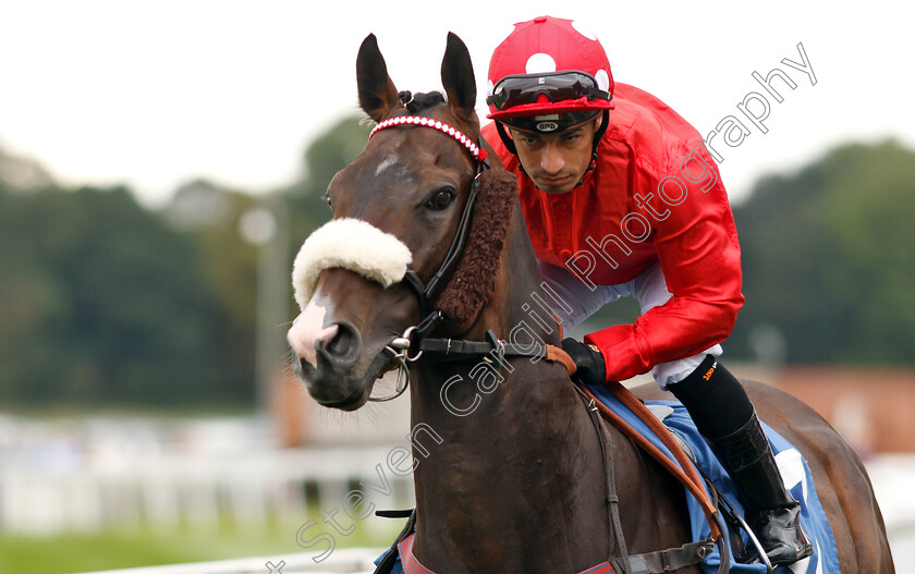 Holmeswood-0001 
 HOLMESWOOD (Silvestre De Sousa)
York 22 Aug 2018 - Pic Steven Cargill / Racingfotos.com