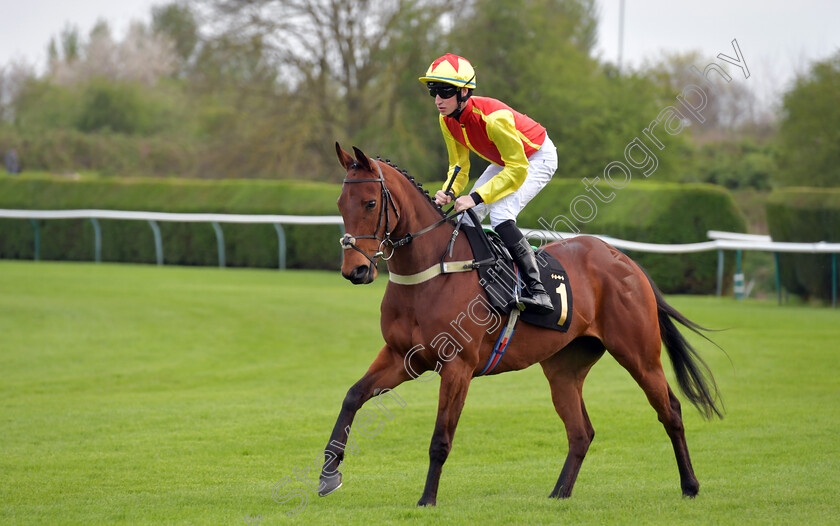 Just-A-Spark-0001 
 JUST A SPARK (Ross Coakley)
Nottingham 22 Apr 2023 - pic Steven Cargill / Becky Bailey / Racingfotos.com